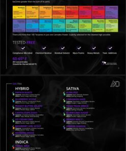 Above The Clouds Badder